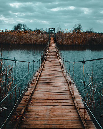 Nature, Rivers, Shore, Bank, Wood, Wooden, Bridge, Cable, Hanging, Suspension, Funicular HD phone wallpaper
