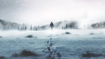 Alone TV series backdrops, Movie database, TV shows, History channel HD wallpaper