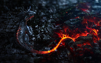 Dragon Eyes Live - Android Apps on Google Play HD wallpaper