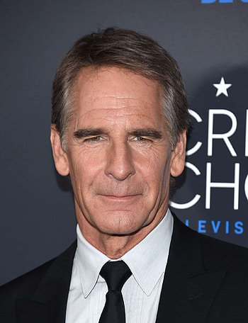 Scott Bakula, TV shows, Biography, Height HD phone wallpaper