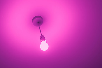 Pink, Minimalism, Light Bulb, Electricity HD wallpaper