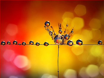 Beauty of Nature, cool, nature, graphy, beauty HD wallpaper