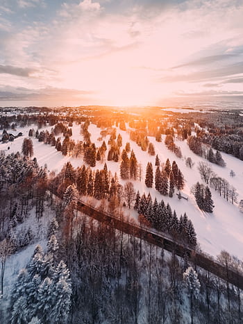 A breathtaking aerial view of a snowy forest during sunset with golden light. HD phone wallpaper
