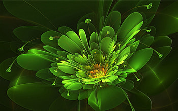 Abstract, Background, Flower, Shine, Light, Colorful, Colourful HD wallpaper