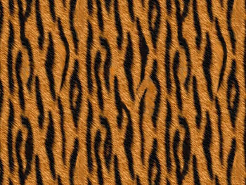 Tiger , stripes, black, tiger, exotic, cat, wild HD wallpaper