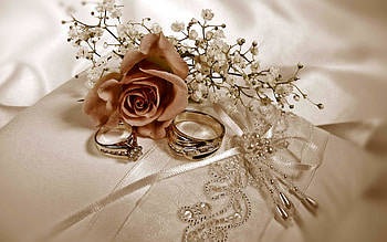 wedding rings, wedding concepts, golden rings on white silk, rose, wedding, wedding card background HD wallpaper