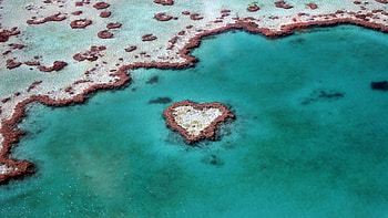 Heart Reef Australia, heart-reef, world, nature, love, art, creative, artist HD wallpaper