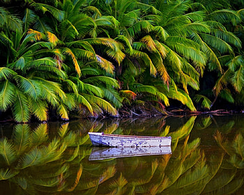 Boat on the Forest Lake, boat, reflection, palm, green, trees, nature, forest, lake HD wallpaper