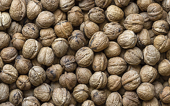 Texture, Textures, Shell, Walnuts HD wallpaper