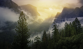 Yosemite National Park Beautiful View , yosemite, national-park, nature HD wallpaper