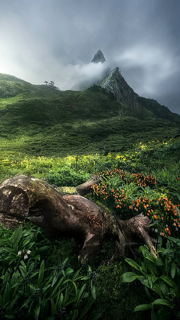 Cloudy day, cloud, sky, flowers, mountain, nature HD phone wallpaper