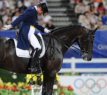 Emile Faurie, Dressage HD wallpaper