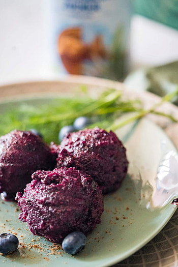 Blueberry sorbet with coconut sugar, Dill twist, Unique blend, Vibrant dessert HD phone wallpaper
