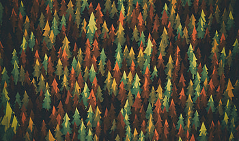 Material Design Forest, material, forest, abstract, artist HD wallpaper