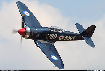 HAWKER SEA FURY, r, x, d, t HD wallpaper