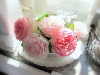 roses for caramelie, tender, still life, pink, roses, vase, flowers HD wallpaper