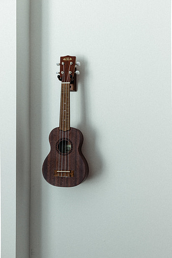 Music, Wall, Musical Instrument, Ukulele, Strings HD phone wallpaper