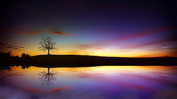 Vivid sunset reflection with a lone tree in Münsing, Germany, offering serene twilight beauty. HD wallpaper