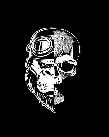 Monkey skull, jaw, art HD phone wallpaper