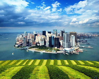 city, buildings, sky, skyscrapers HD wallpaper
