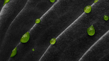 Green Liquid Drops Dark Grey Texture Texture HD wallpaper