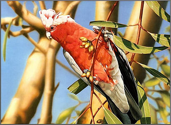 Cute bird, leaves, bird, nature, beauty, tree HD wallpaper