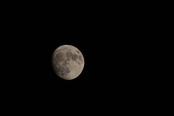 Night, Moon, Shadow HD wallpaper