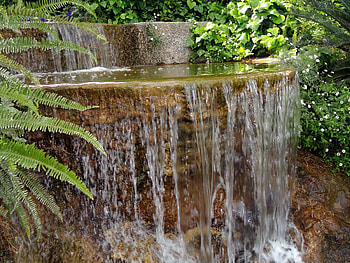 Nature, Waterfall, Fern, Stone, Ledge HD wallpaper