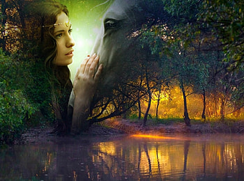 Farewell, girl, horse, forest HD wallpaper