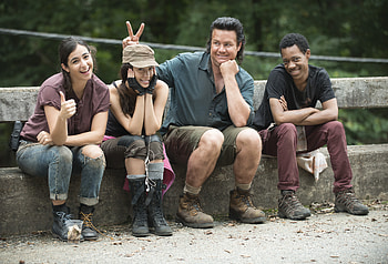 The Walking Dead, Tv Show HD wallpaper