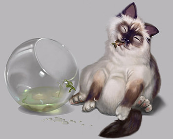 cat dinner, dinner, cat, fun HD wallpaper