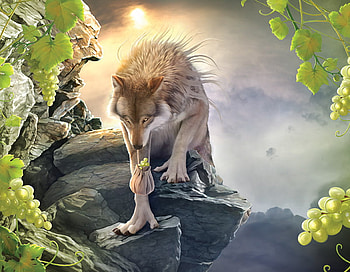 a werewolf bringing food to his pack, werewolves, wolves, food, packs HD wallpaper