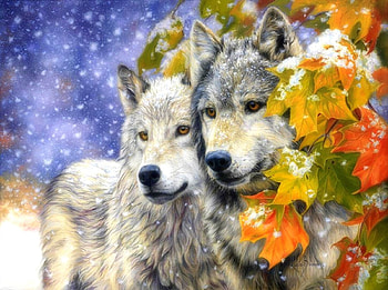 wolve family, winter, wolves, snow, animals HD wallpaper