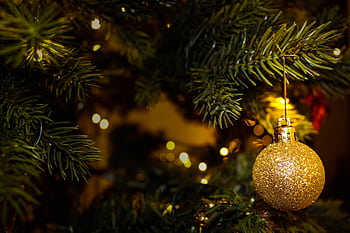 A sparkling gold ornament hanging on a lush Christmas tree, adorned with festive lights. HD wallpaper