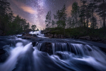 *, trees, river, flowing, nature HD wallpaper