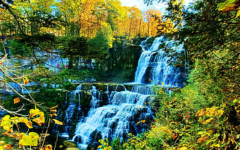 Chittenango Falls, NY, forest, fall, leaves, autumn, cascades, trees, colors HD wallpaper