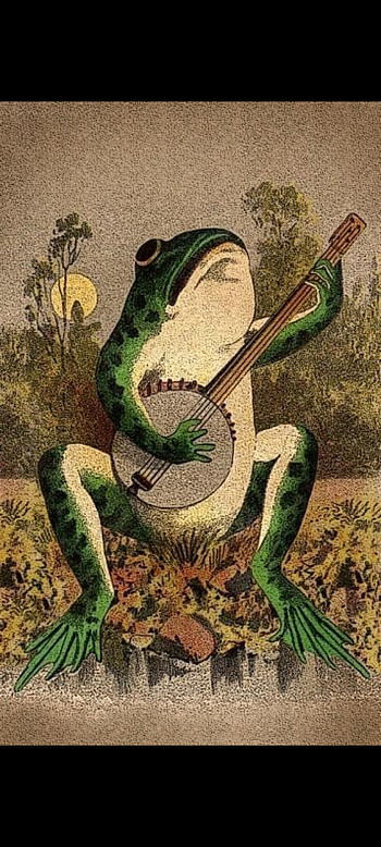 Rana ukelele, sapo HD phone wallpaper
