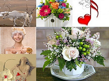 floral collage, music, deer, flowers, collage, beauty HD wallpaper