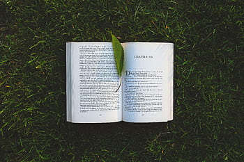 An open book lies on the grassy field with a leaf, evoking relaxation and summer reading vibes. HD wallpaper