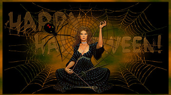 Halloween Weaver, Spider Web, Halloween, Happy halloween, Web, Spider HD wallpaper