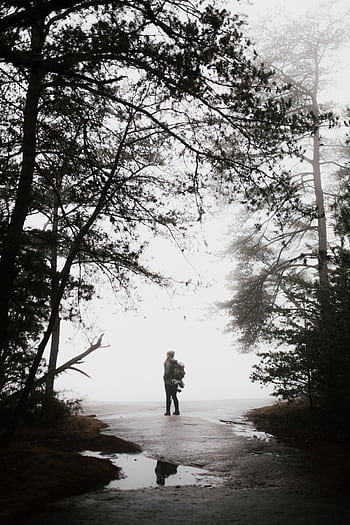 A lone hiker explores the misty forest pathways of Roaring Gap, NC, surrounded by towering trees. HD phone wallpaper