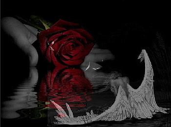 Rose reflection and angel, gothic, white, goth, angel, hand, dark, rose, reflection, red black, fallen, water HD wallpaper