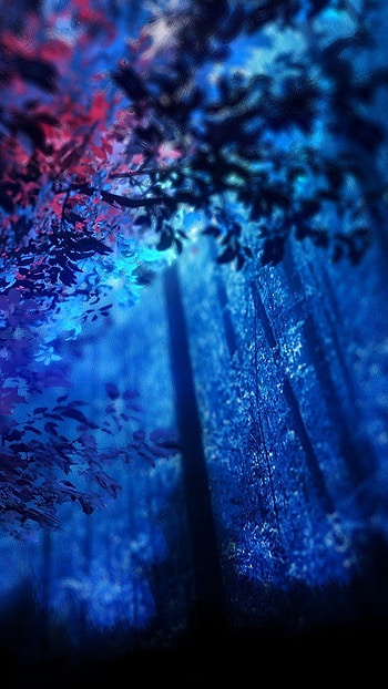 Astic, Neon Forest HD phone wallpaper