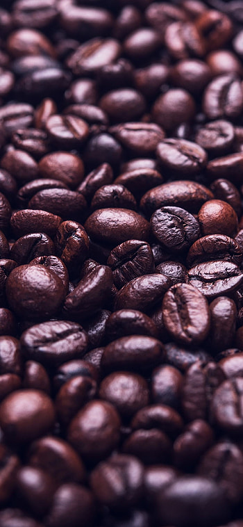 Coffee Beans, Brown , , Food HD phone wallpaper
