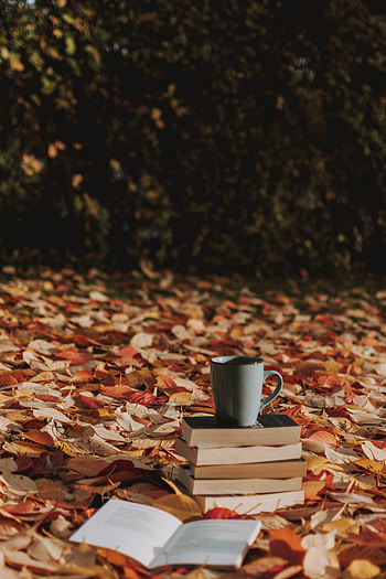 Autumn, Books, Miscellanea, Miscellaneous, Cup, Foliage, Mug HD phone wallpaper