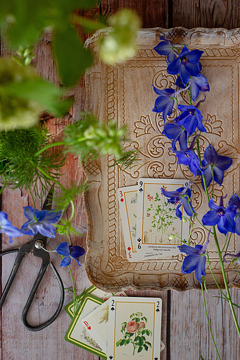 Flowers, Still Life, Miscellanea, Miscellaneous, Wood, Wooden, Cards, Scissors HD phone wallpaper