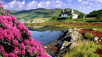 beautiful cottage, green, landscape, spring flowers, beautiful, cottage, mountains, small lake HD wallpaper