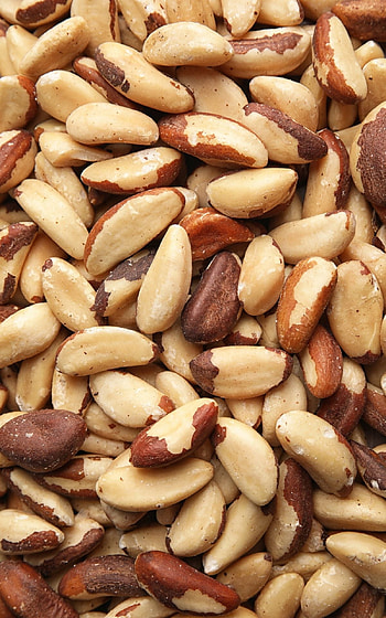 Just nuts Brazil, Nutty indulgence, Exquisite treats, Nuts paradise HD phone wallpaper