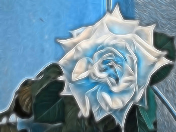 DIGITAL FLOWER, digital, CG, art, flower HD wallpaper