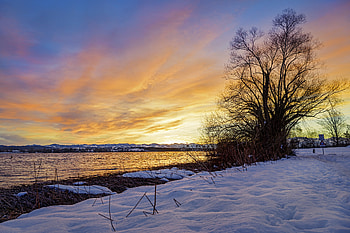 Landscape, Winter, Nature, Sunset, Snow, Lake, Wood, Tree HD wallpaper